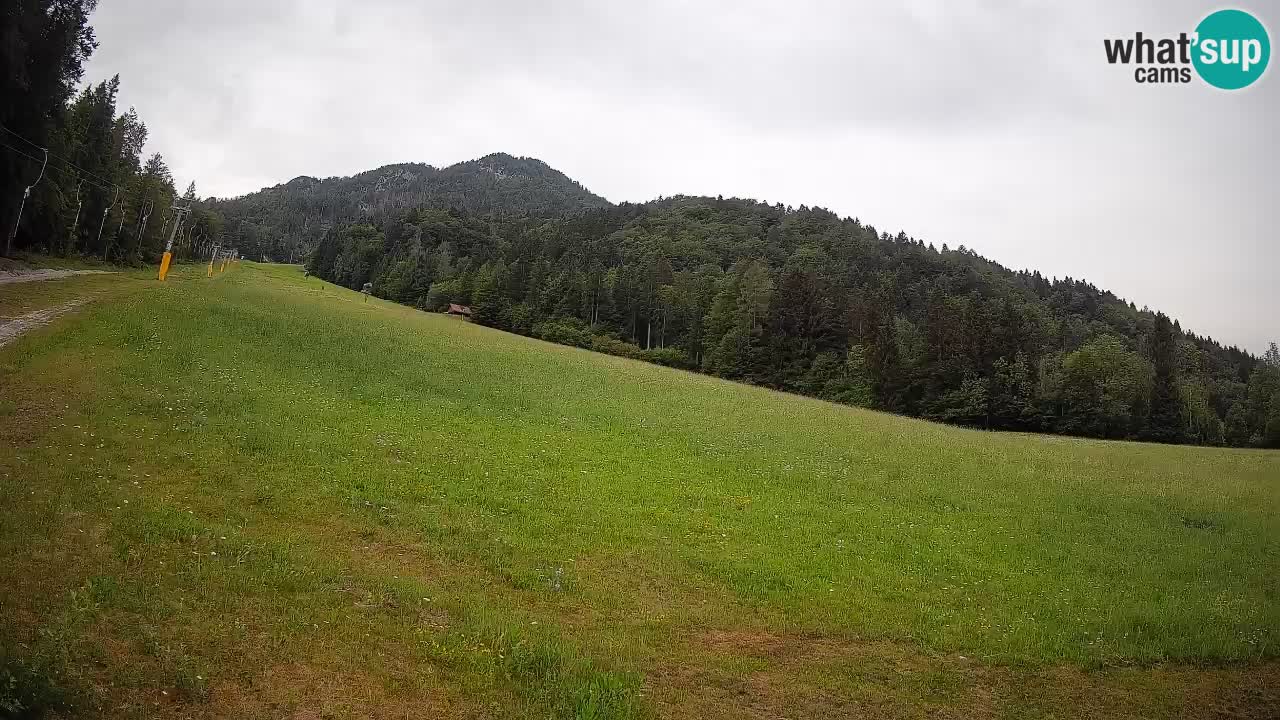 Kranjska Gora Station de ski | Brsnina
