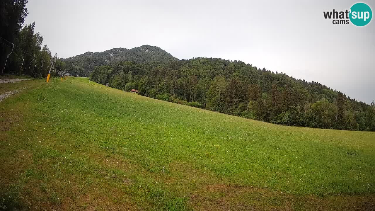 RTC Skigebiet Kranjska Gora | Brsnina