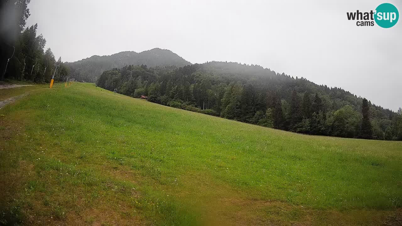 Ski Kranjska Gora | Brsnina