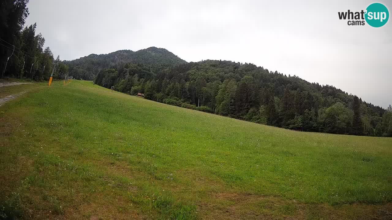 Ski Kranjska Gora | Brsnina