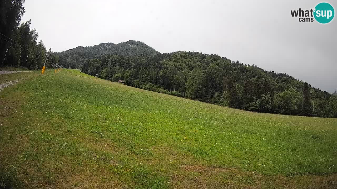 Ski Kranjska Gora | Brsnina
