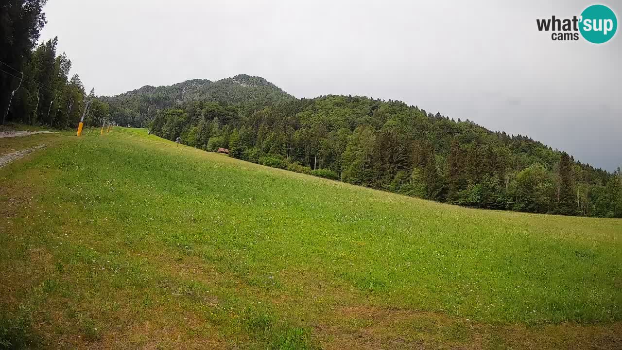 Ski Kranjska Gora | Brsnina