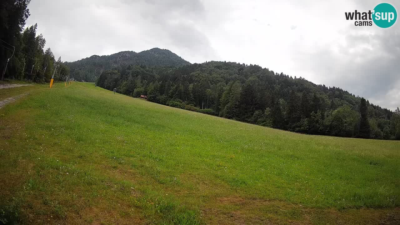 Esquí Kranjska Gora | Brsnina