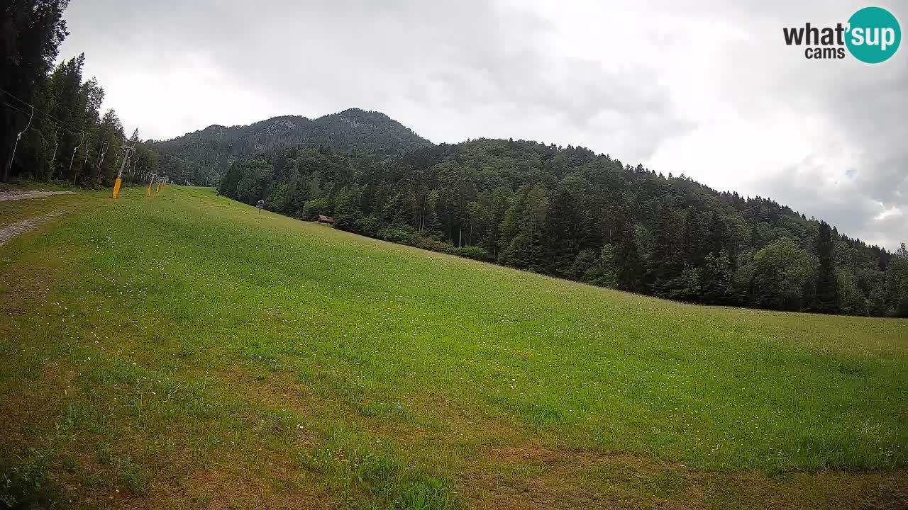 RTC Kranjska Gora | Brsnina