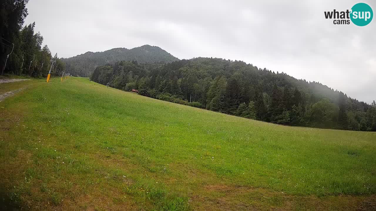 Ski Kranjska Gora | Brsnina