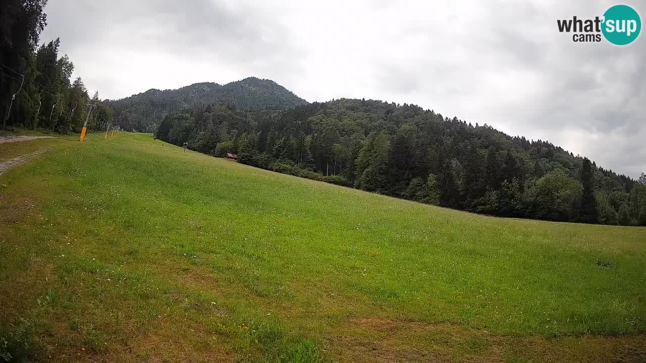 Kranjska Gora SKIJANJE | Brsnina