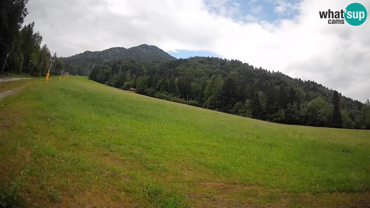 Comprensorio sciistico Kranjska Gora | Brsnina