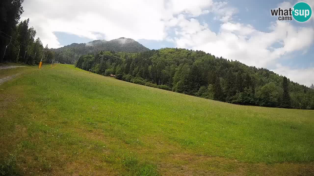 Comprensorio sciistico Kranjska Gora | Brsnina