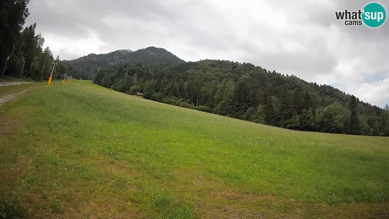RTC Skigebiet Kranjska Gora | Brsnina