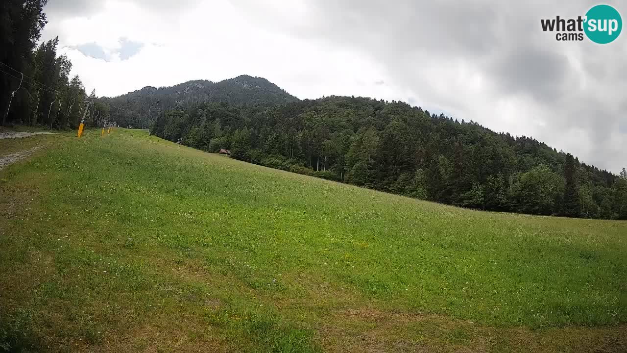 RTC Skigebiet Kranjska Gora | Brsnina