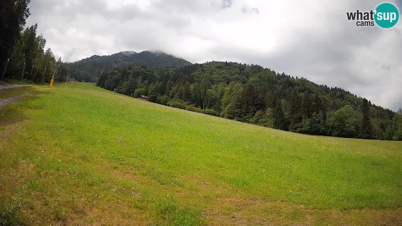 Esquí Kranjska Gora | Brsnina