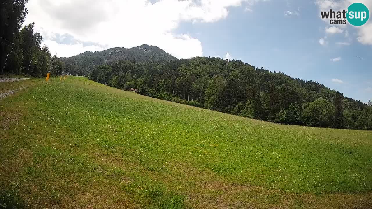 Comprensorio sciistico Kranjska Gora | Brsnina