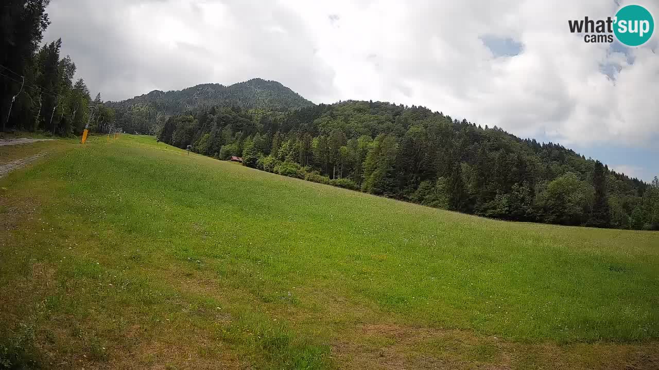 Comprensorio sciistico Kranjska Gora | Brsnina