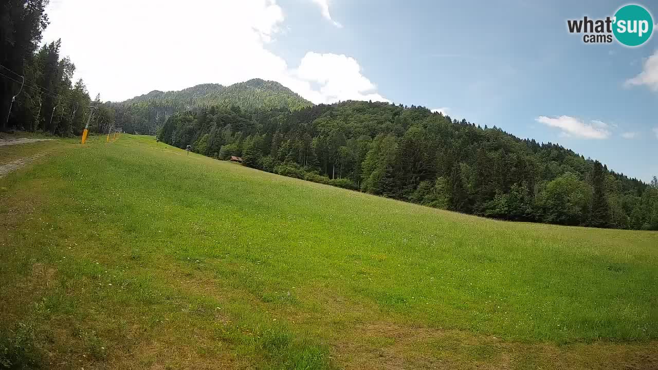 Ski Kranjska Gora | Brsnina