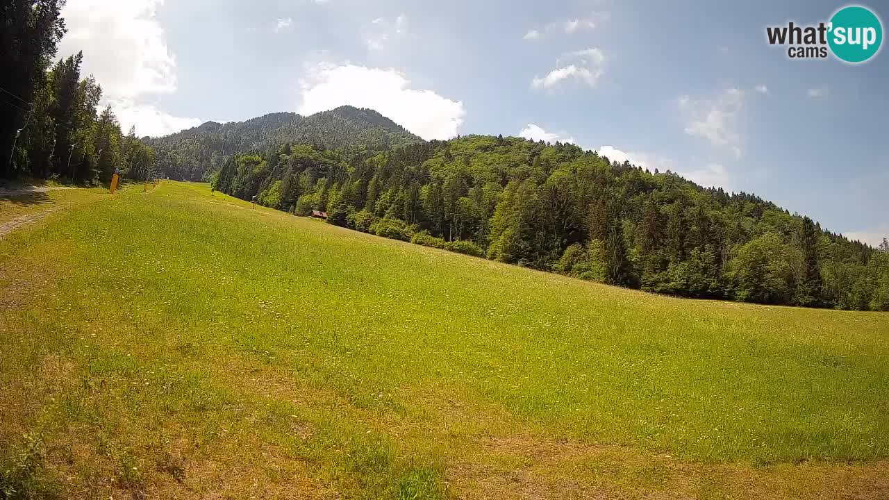 RTC Kranjska Gora | Brsnina