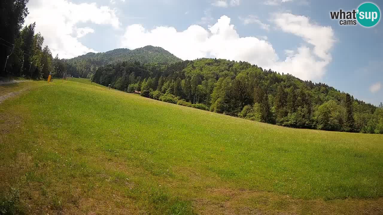 Kranjska Gora Station de ski | Brsnina