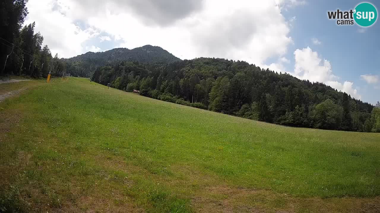 Kranjska Gora Station de ski | Brsnina
