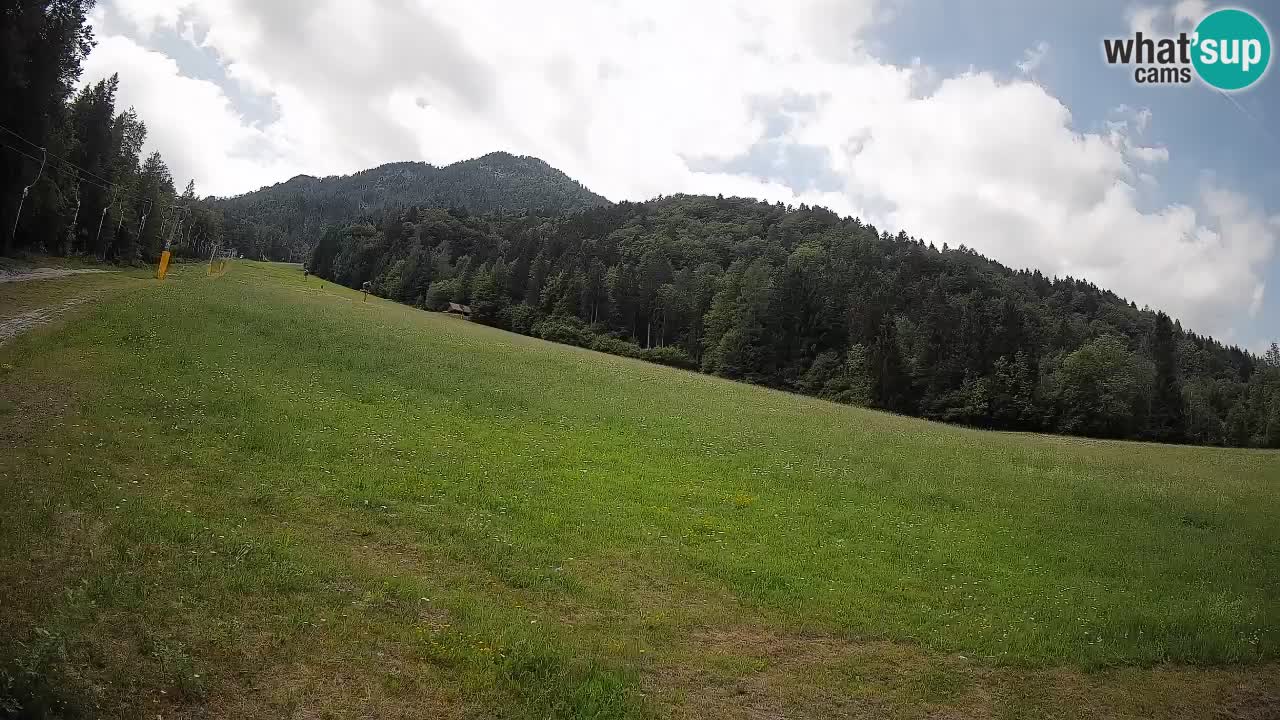 Comprensorio sciistico Kranjska Gora | Brsnina