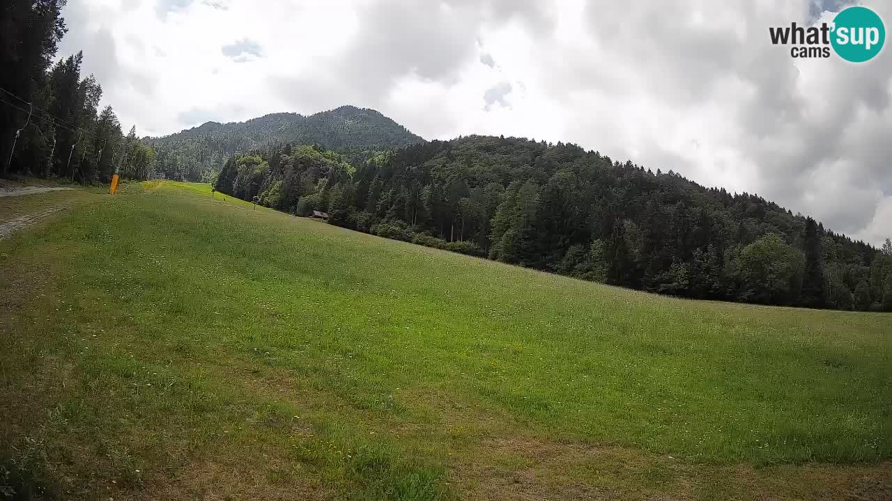 RTC Kranjska Gora | Brsnina