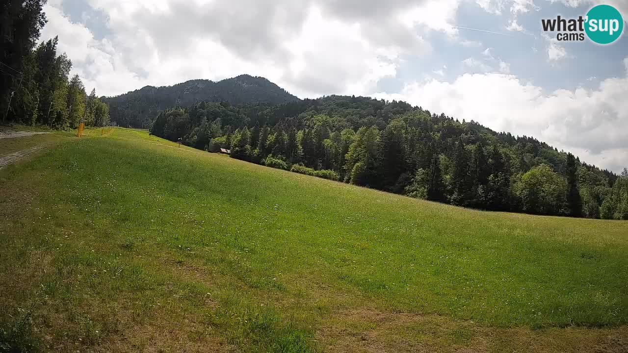 RTC Skigebiet Kranjska Gora | Brsnina