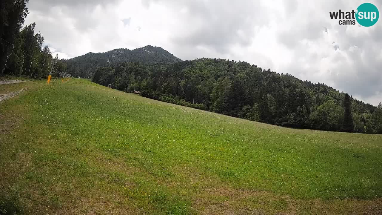 Esquí Kranjska Gora | Brsnina