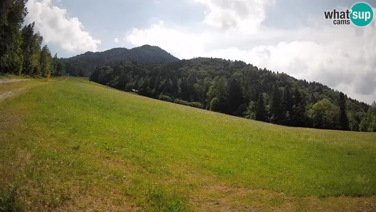 RTC Skigebiet Kranjska Gora | Brsnina