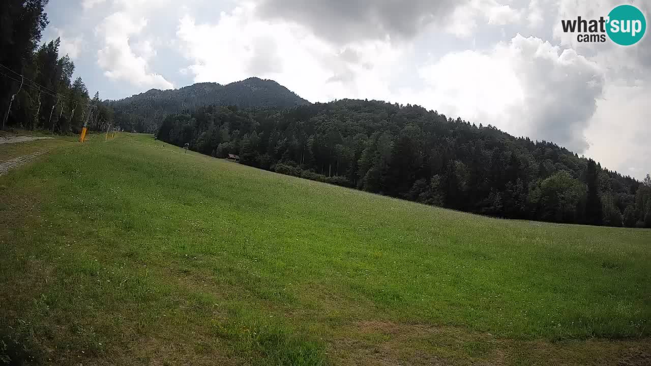 Esquí Kranjska Gora | Brsnina