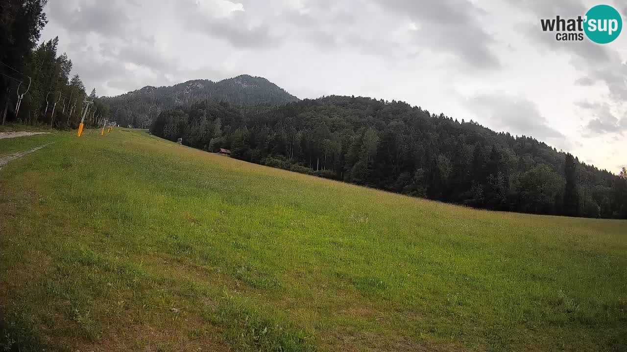 Esquí Kranjska Gora | Brsnina