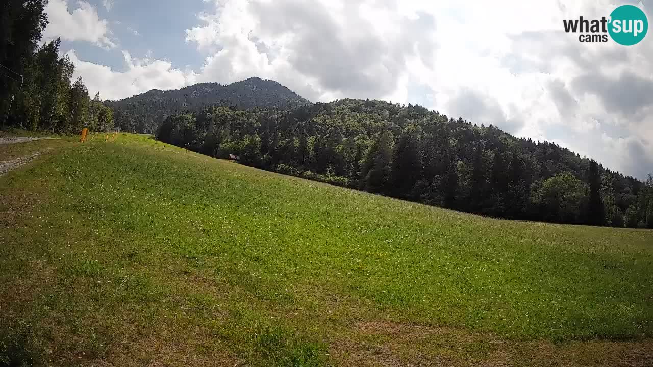 Kranjska Gora Station de ski | Brsnina