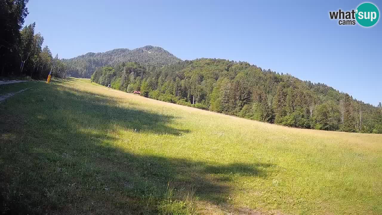 RTC Kranjska Gora | Brsnina