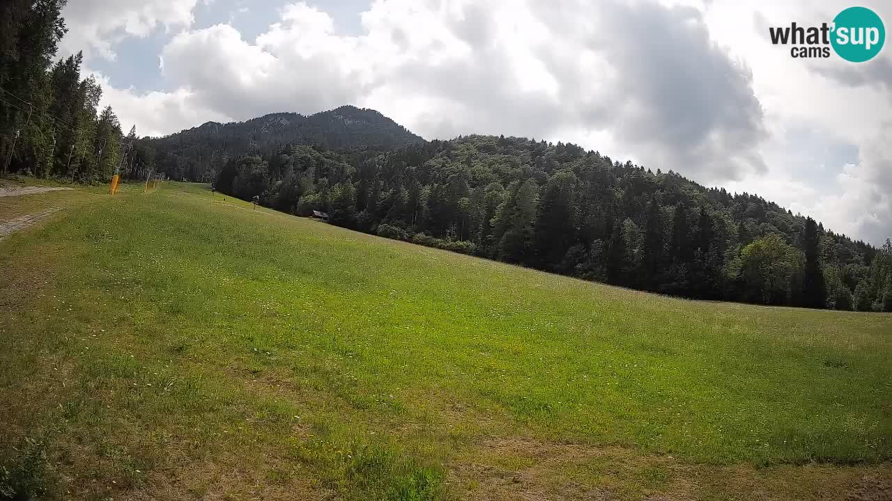 Esquí Kranjska Gora | Brsnina