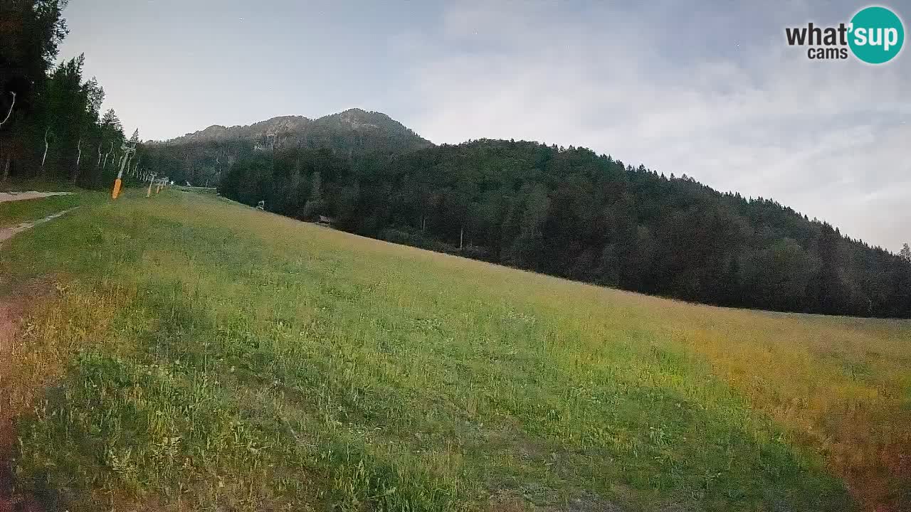 RTC Skigebiet Kranjska Gora | Brsnina