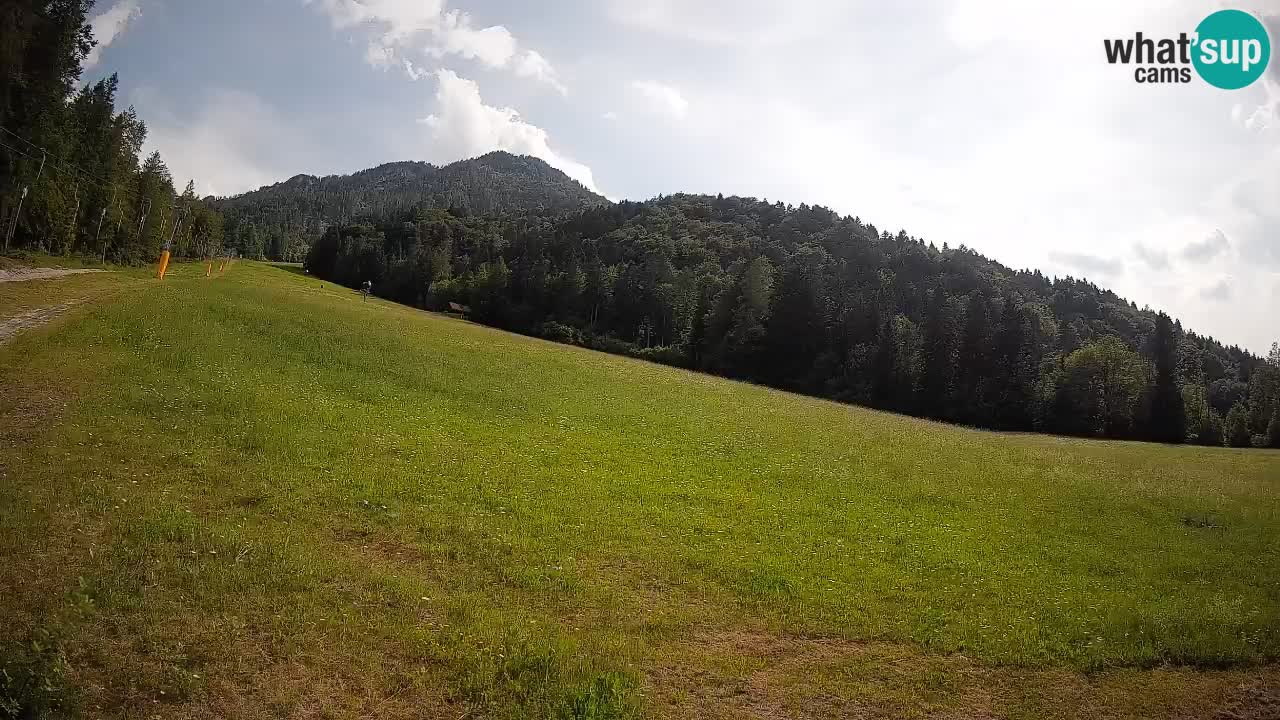 Kranjska Gora Station de ski | Brsnina