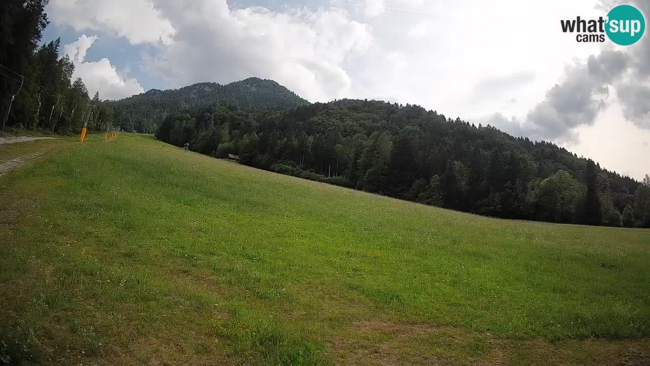 RTC Skigebiet Kranjska Gora | Brsnina