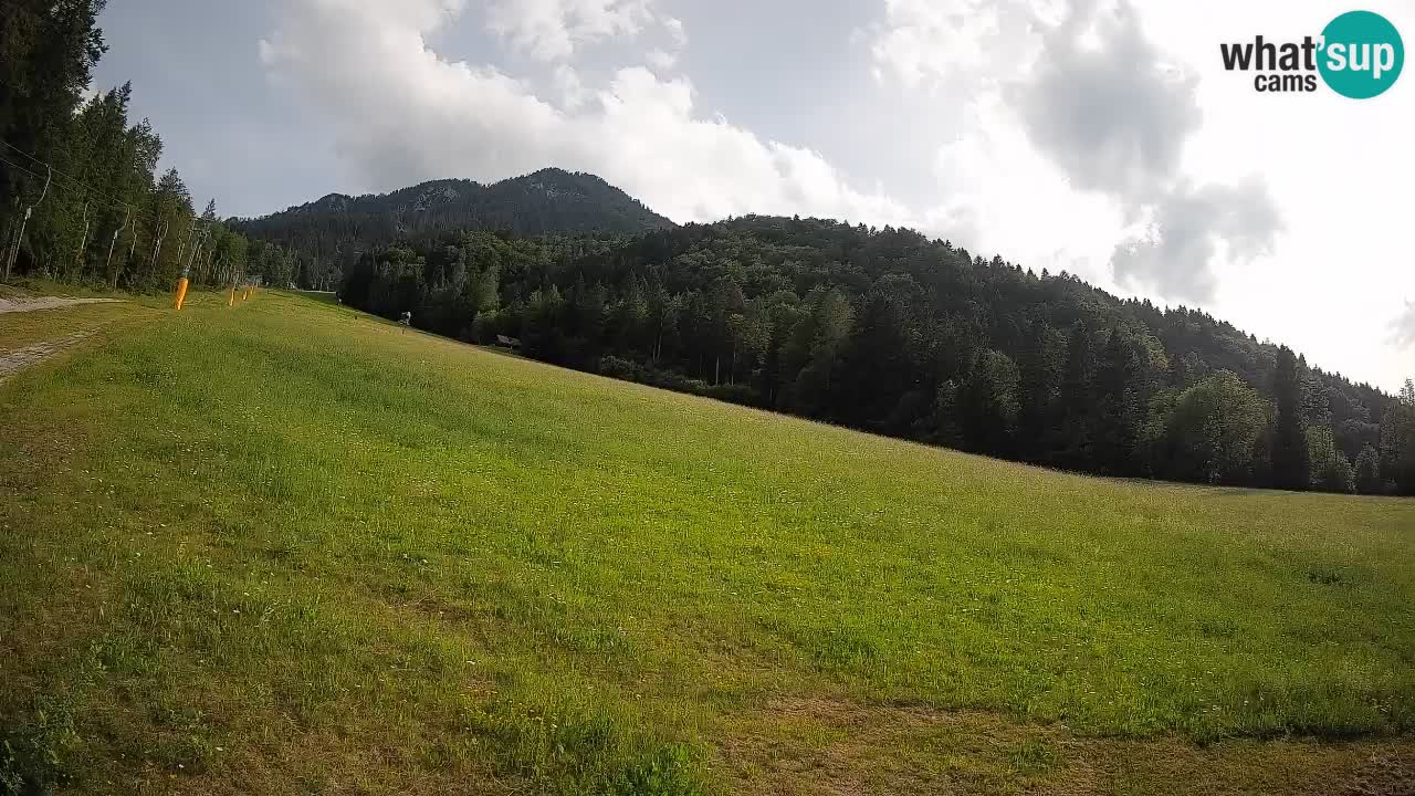 Ski Kranjska Gora | Brsnina