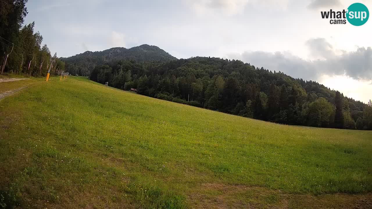 Ski Kranjska Gora | Brsnina