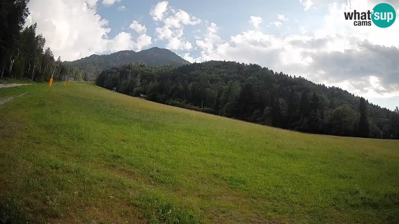 Comprensorio sciistico Kranjska Gora | Brsnina