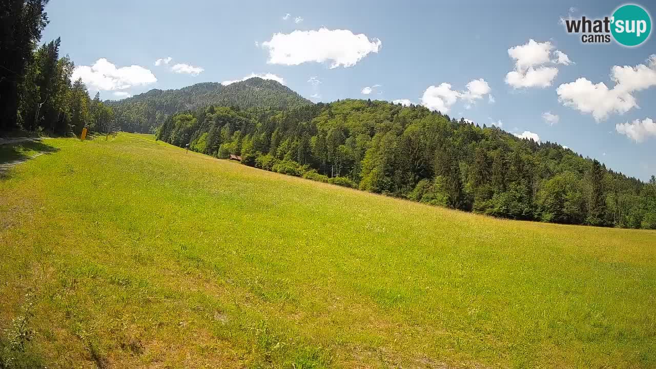 Kranjska Gora SKIJANJE | Brsnina