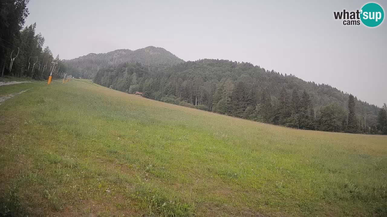 Comprensorio sciistico Kranjska Gora | Brsnina