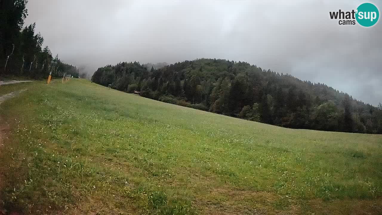 Ski Kranjska Gora | Brsnina