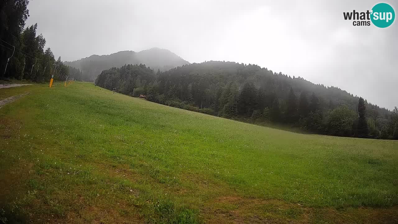 RTC Skigebiet Kranjska Gora | Brsnina