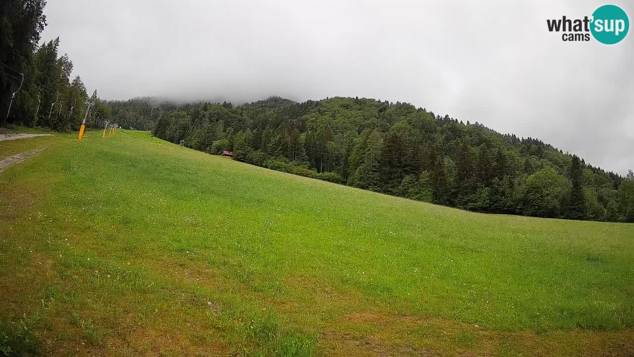 RTC Skigebiet Kranjska Gora | Brsnina