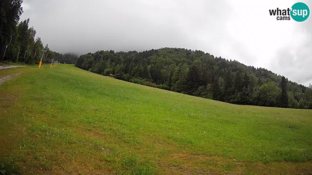 RTC Skigebiet Kranjska Gora | Brsnina