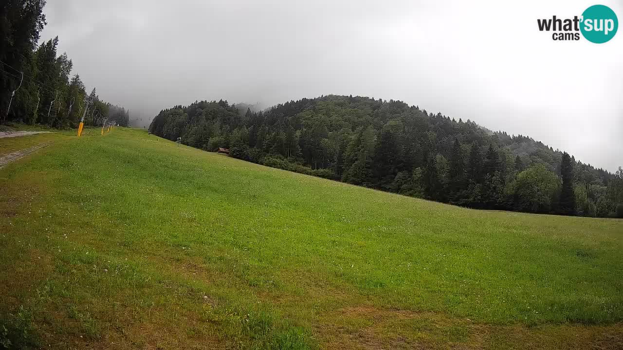 Ski Kranjska Gora | Brsnina