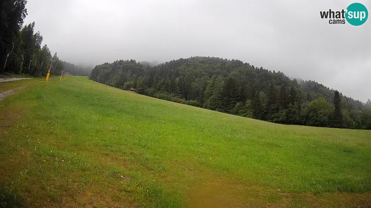 Comprensorio sciistico Kranjska Gora | Brsnina