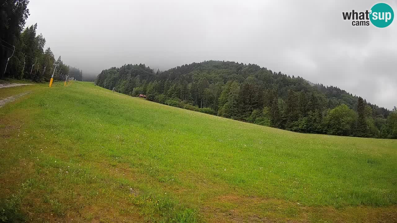 Comprensorio sciistico Kranjska Gora | Brsnina