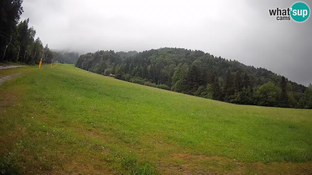 Ski Kranjska Gora | Brsnina