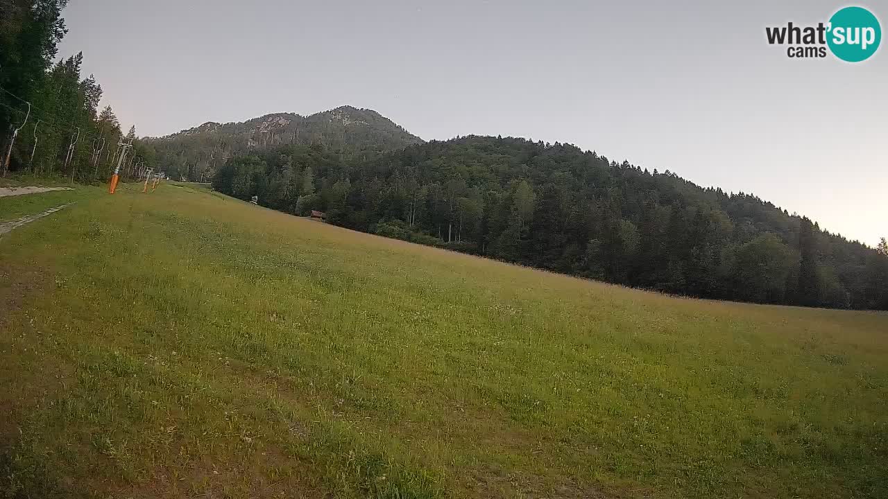 Kranjska Gora Station de ski | Brsnina