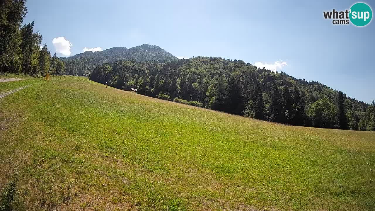 Ski Kranjska Gora | Brsnina
