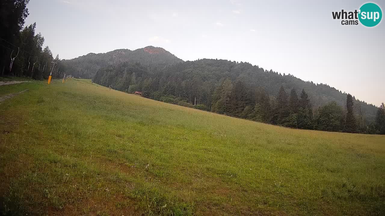 Ski Kranjska Gora | Brsnina